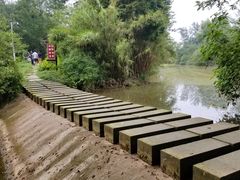 -桤木河湿地公园