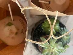 -大堂酒廊·亚龙湾万豪度假酒店