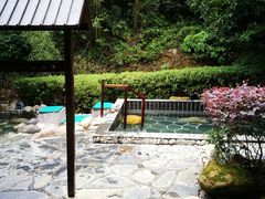 -明月山天沐温泉度假村