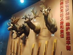 -浙江自然博物院(杭州馆)