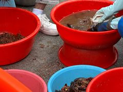 -吉利龙虾·新派海鲜烧烤