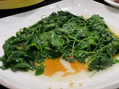 -新南华大酒店(广中店)