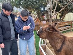 -HERRE·FARM 赫尔露营农场·团建聚会包场