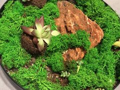 -北京泰富酒店-柏景轩中餐厅