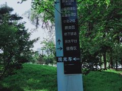 -长白岛森林公园