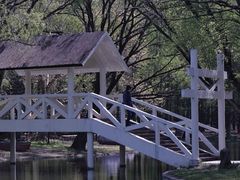 -上海共青森林公园