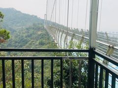 -南丹山森林王国