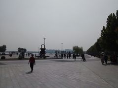 -武清南湖绿博园