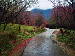 -福清灵石山国家森林公园