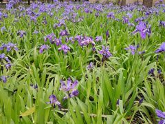 -森林公园(尖草坪区)