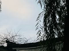 -舒羽咖啡(运河店)