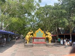 -西双版纳傣族园