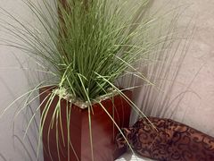 -世外桃源水疗会(皇庭彩园店)