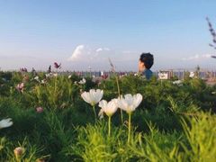 -东疆建设开发纪念公园