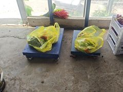 -马陆小张葡萄园农家乐