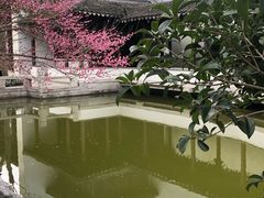 -秋霞圃