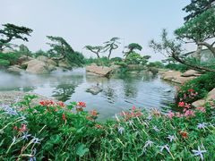 -罗红摄影艺术馆