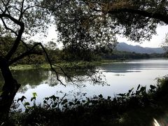 -茅家埠