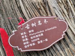 -中岳庙