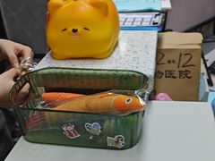 -半岛宠物医院24小时(白果林店)