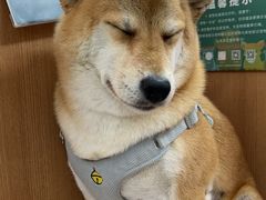 -联合动物医院(光谷诊疗中心)