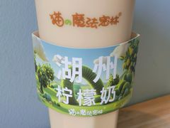 -猫的魔法密林(衣裳街店)