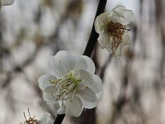 -北京鹫峰国家森林公园
