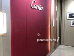 -谢列梅捷沃国际机场