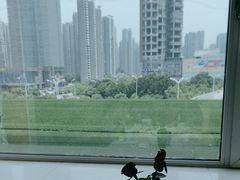 -红顶食府(滨湖九号店)