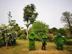 -鹅湖玫瑰文化园