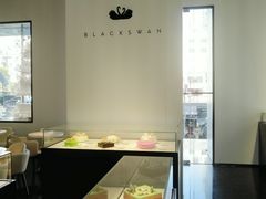 -BLACKSWAN黑天鹅(环球店)