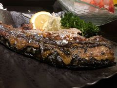 -春草居酒屋·晴子の店