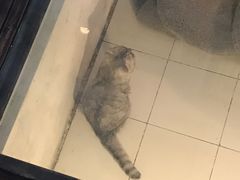 -娜娜家•Nana’Garden (福州道店)