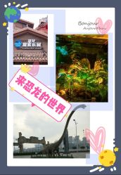 -恐龙探索乐园(磁器口店)