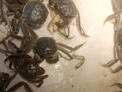 -圣罗巴海鲜烤肉自助(佳兆业店)