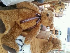 android_upload_pic-济州岛泰迪熊博物馆