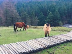 -硗碛藏寨·神木垒景区