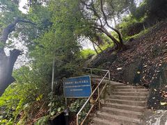 -大澳