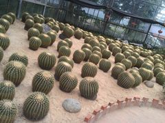 -广东茂名森林公园