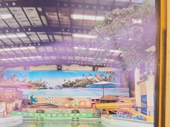 -南宫温泉水世界