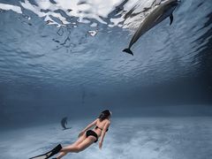 -亚龙湾海底世界