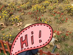 -羊亭河湿地公园