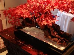 -顺峰(农展馆店)