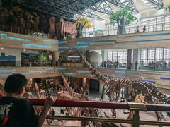 -安徽省地质博物馆