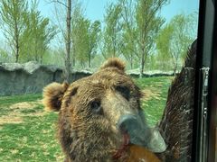 -北京野生动物园