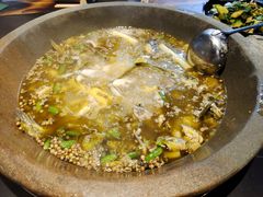 -石锅苗苗鱼(武汉首店)