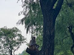 -黔灵山公园