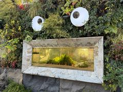 -龙大花卉苗木市场