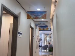 -郑荃丽格医疗美容