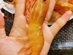 -菊上料理(蜀山银泰百货店)